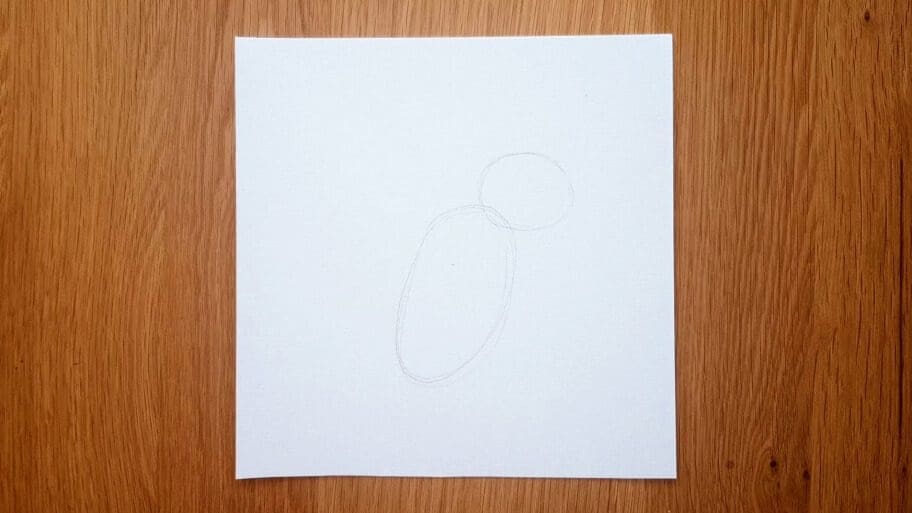 Squirrel Drawing