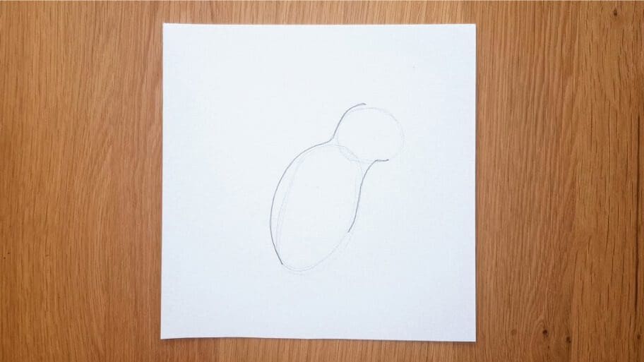 Squirrel Drawing