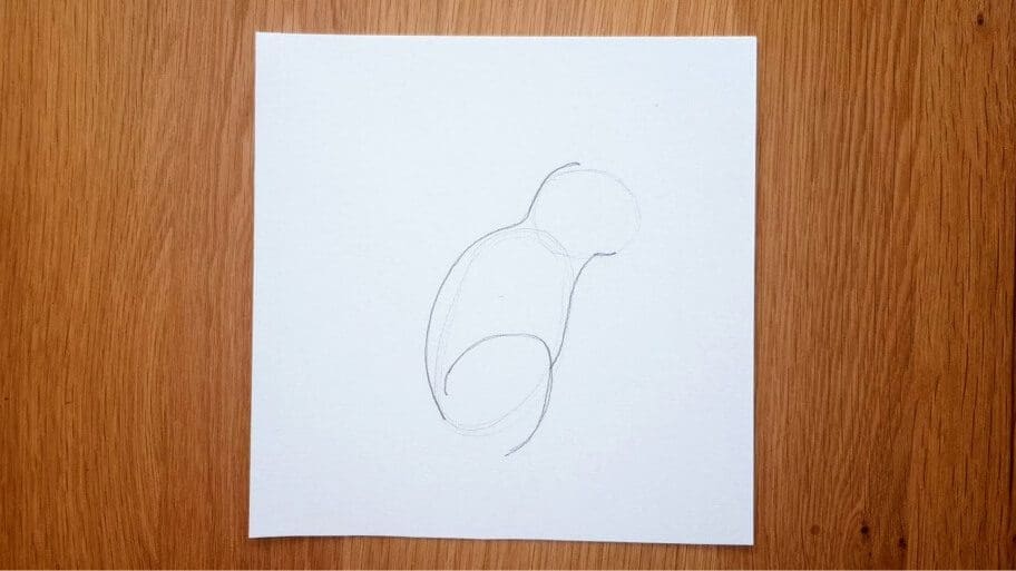 Squirrel Drawing