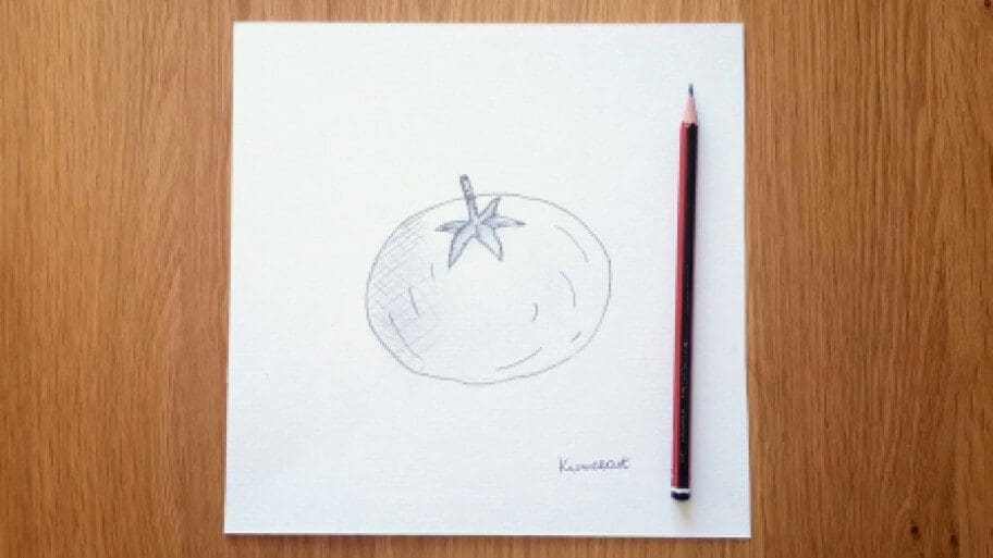 Tomato Drawing