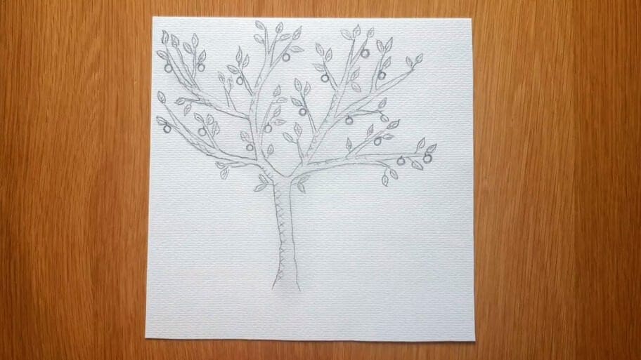 apple tree drawing easy