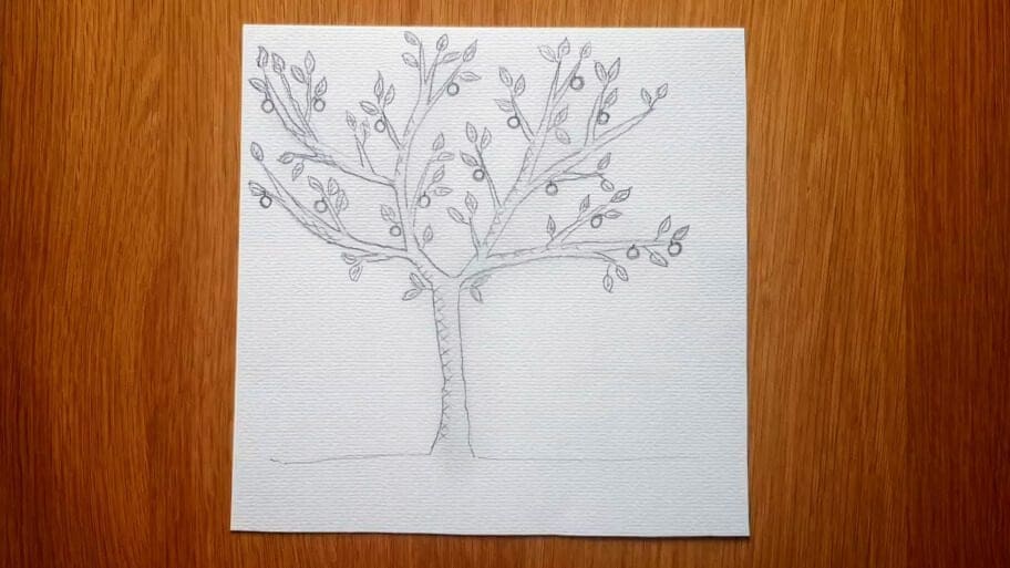 apple tree drawing easy