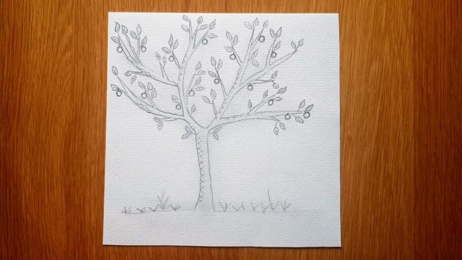 apple tree drawing easy