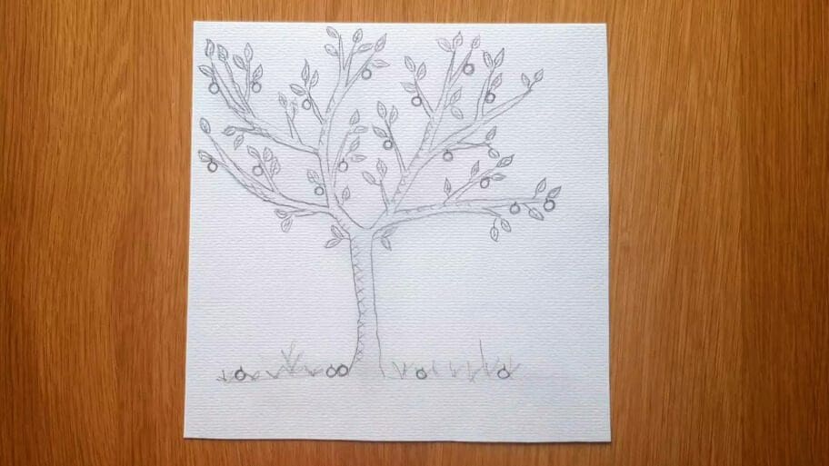 apple tree drawing easy