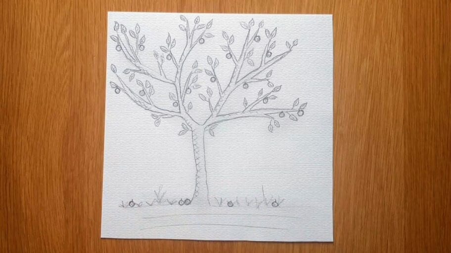apple tree drawing easy