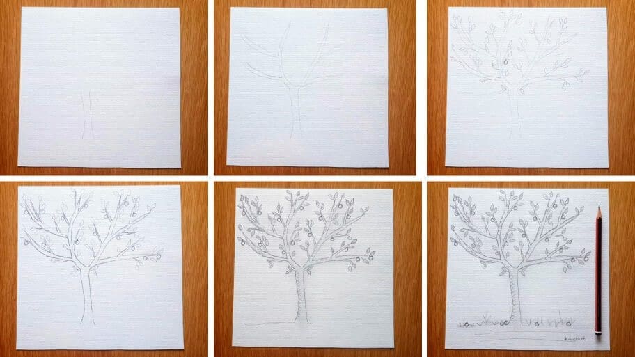 apple tree drawing easy