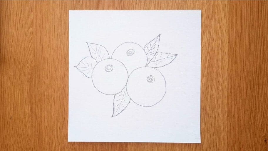 Blueberry Drawing