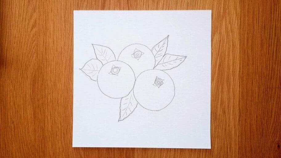 Blueberry Drawing