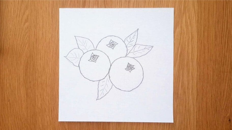 Blueberry Drawing