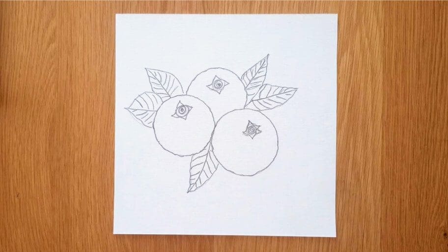 Blueberry Drawing