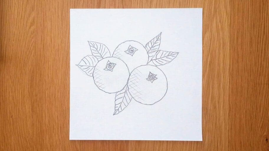 Blueberry Drawing