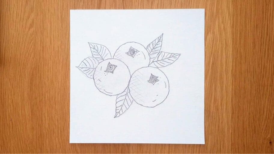 Blueberry Drawing