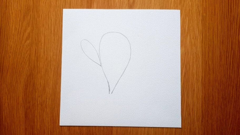 Cactus Drawing Cactus