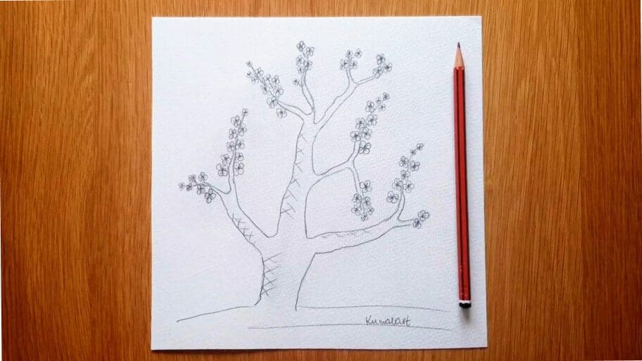 Cherry Blossom Tree Drawing