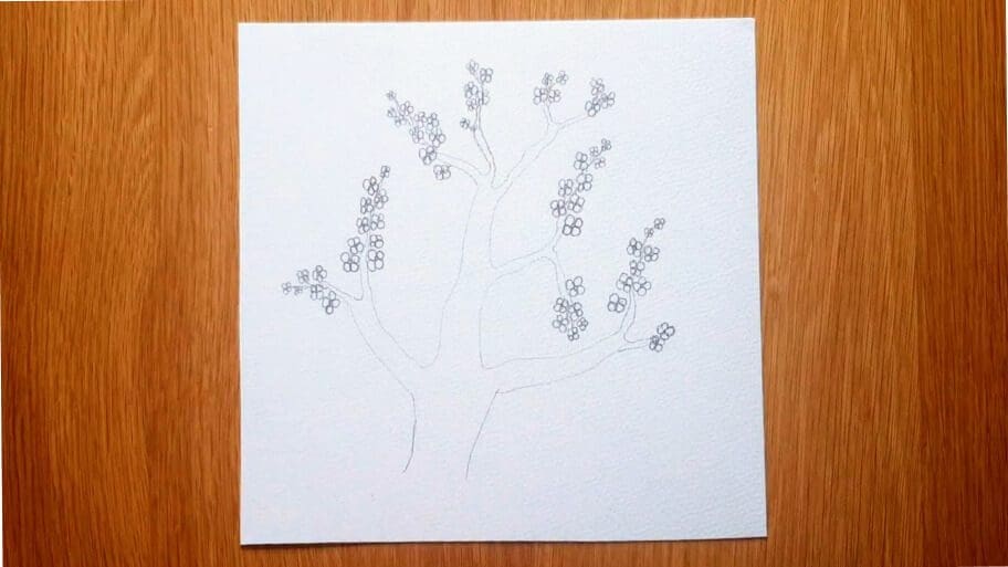 Cherry Blossom Tree Drawing