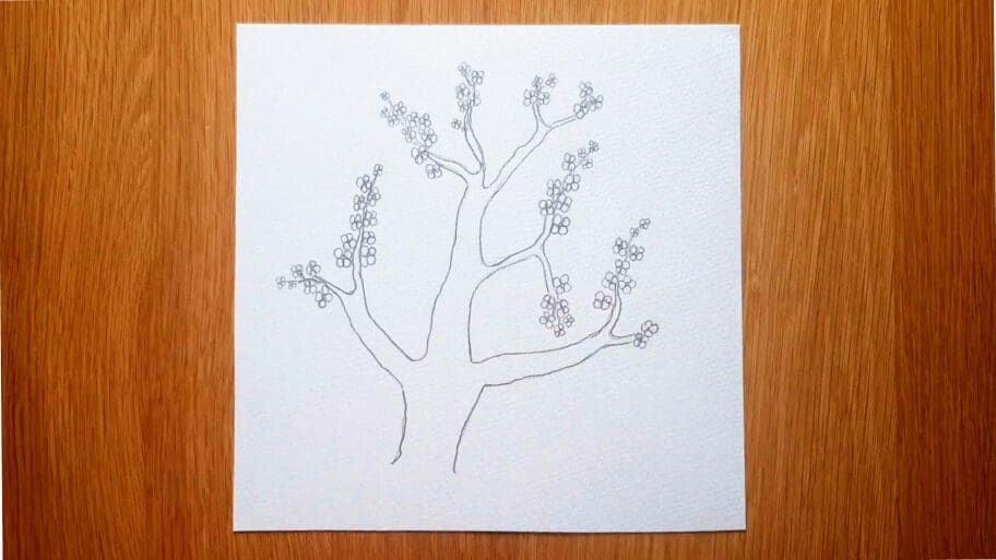 Cherry Blossom Tree Drawing