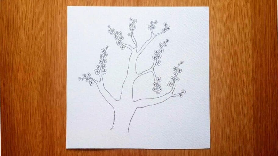 Cherry Blossom Tree Drawing