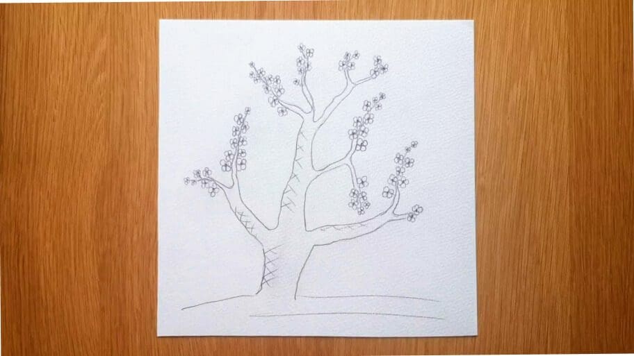 Cherry Blossom Tree Drawing