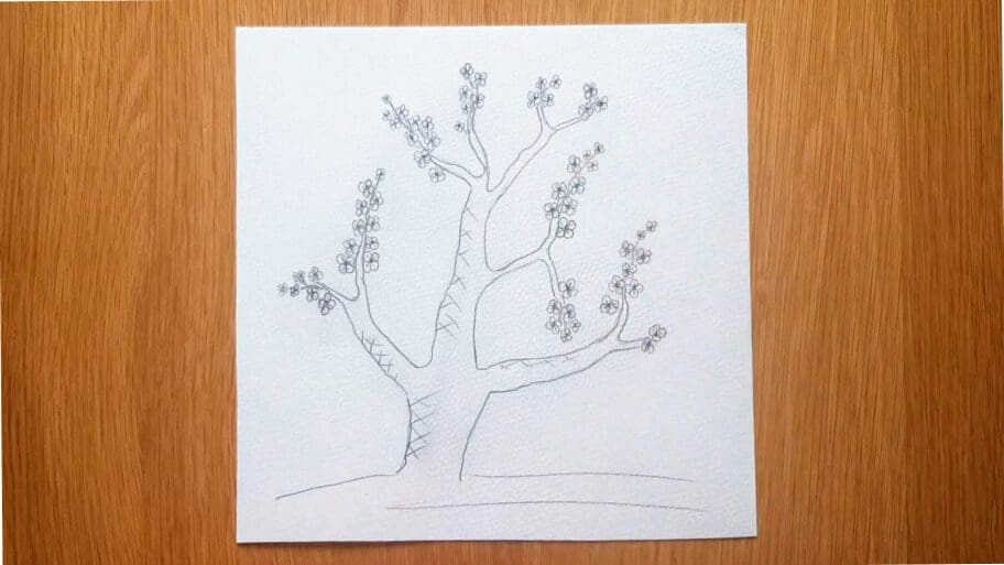 Cherry Blossom Tree Drawing