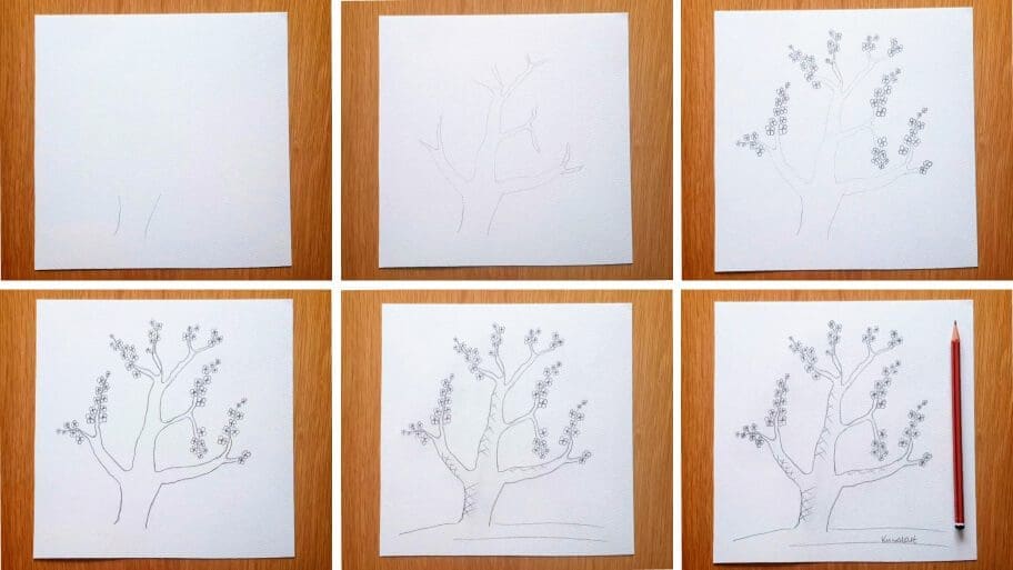 Cherry Blossom Tree Drawing