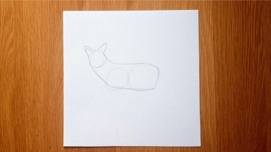 Coyote Drawing