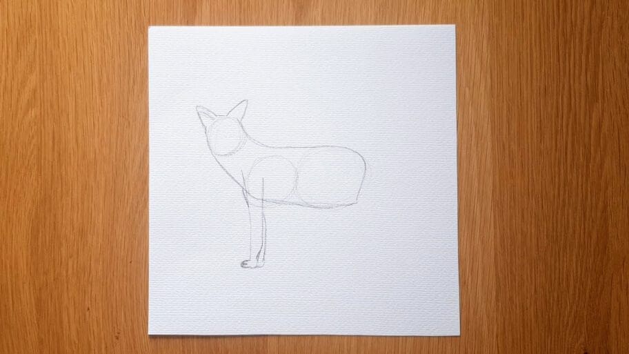 Coyote Drawing