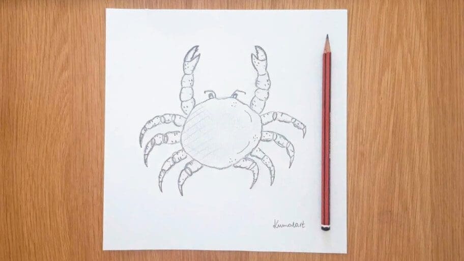 Crab Drawing