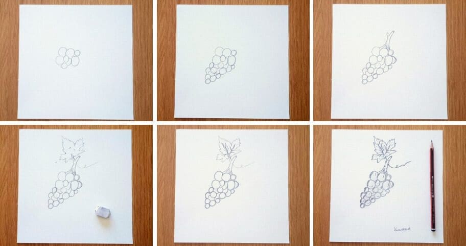 Grape_Drawing_Collage