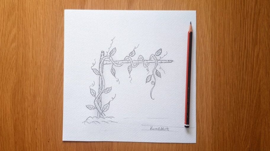 How to Draw Vines
