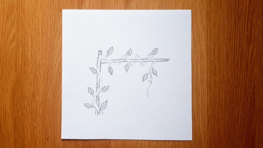 How to Draw Vines