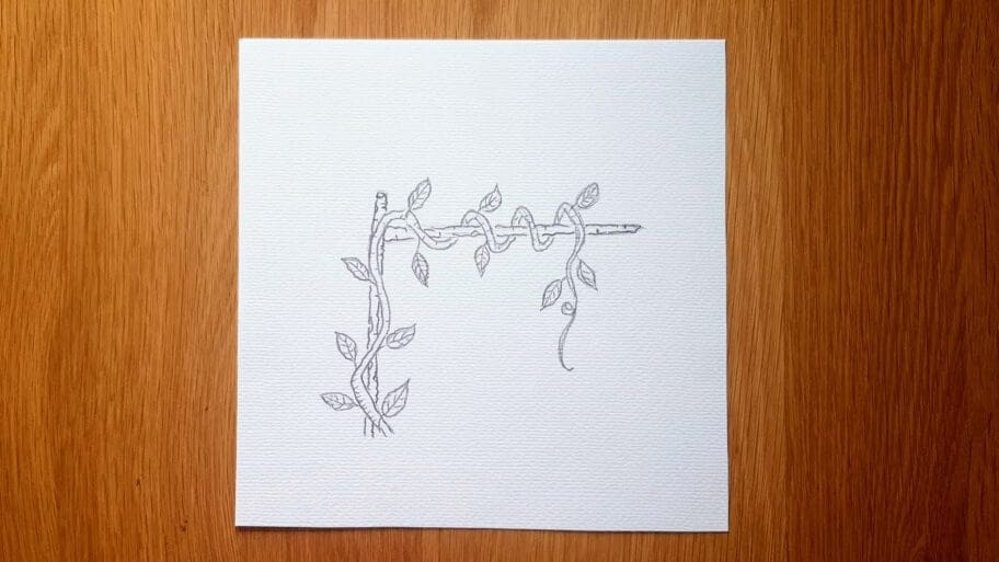 How to Draw Vines