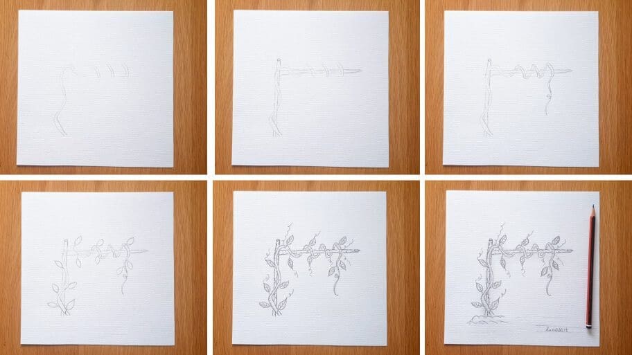 How to Draw Vines