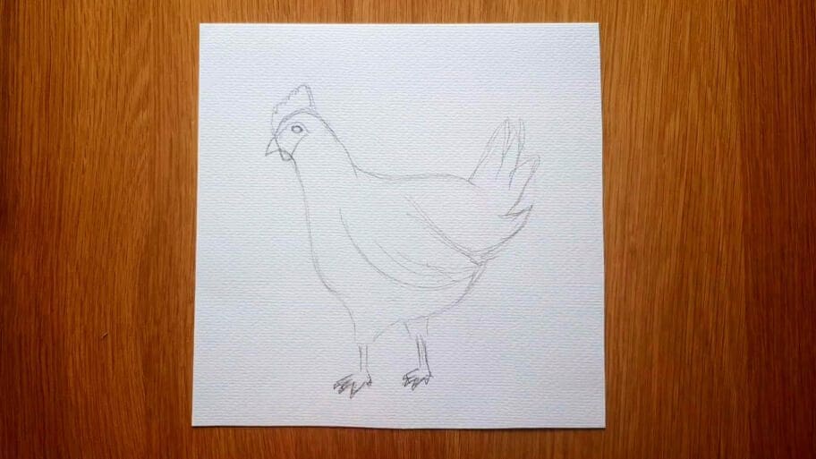 How to draw hen easy