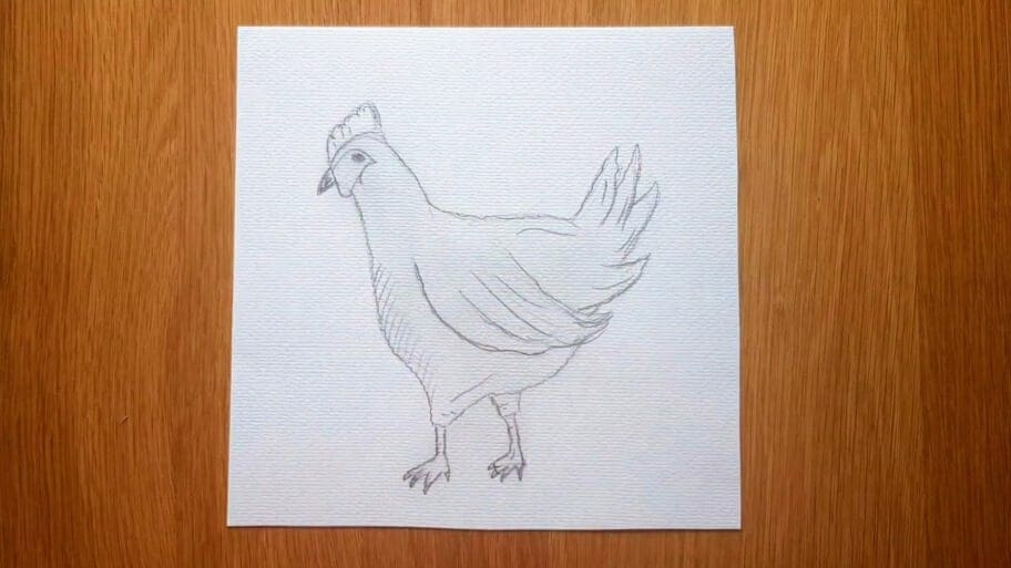 How to draw hen easy