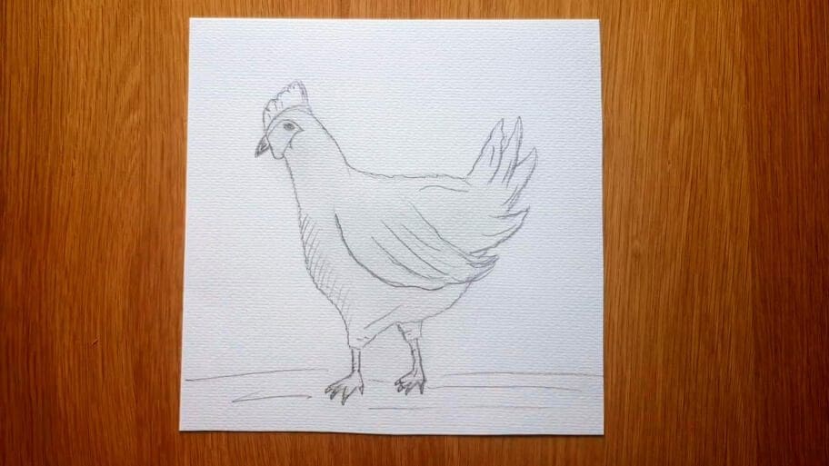 How to draw hen easy