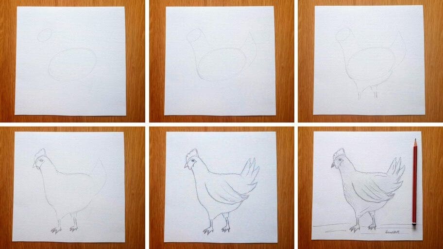 How to draw hen easy