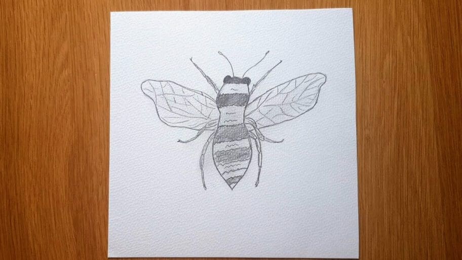 How to draw a simple bumble bee