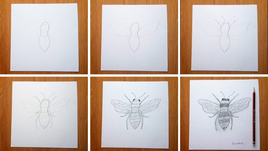 How to draw a simple bumble bee