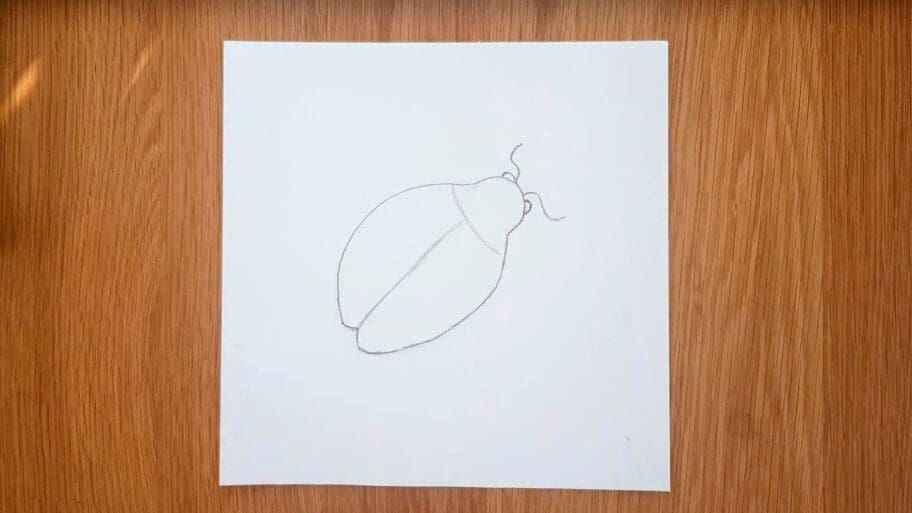 Ladybug Drawing
