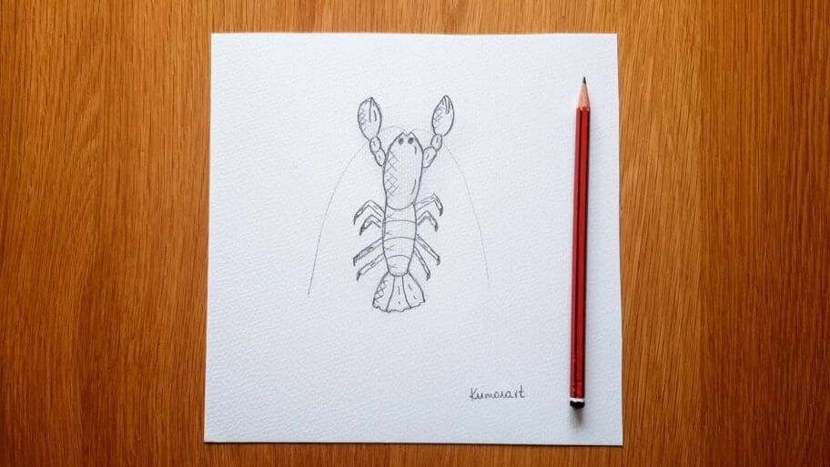 Lobster Drawing