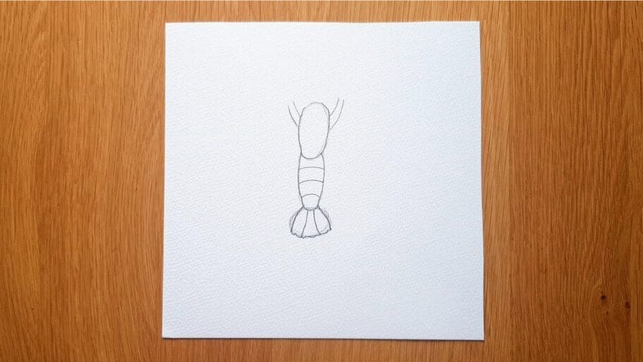Lobster Drawing