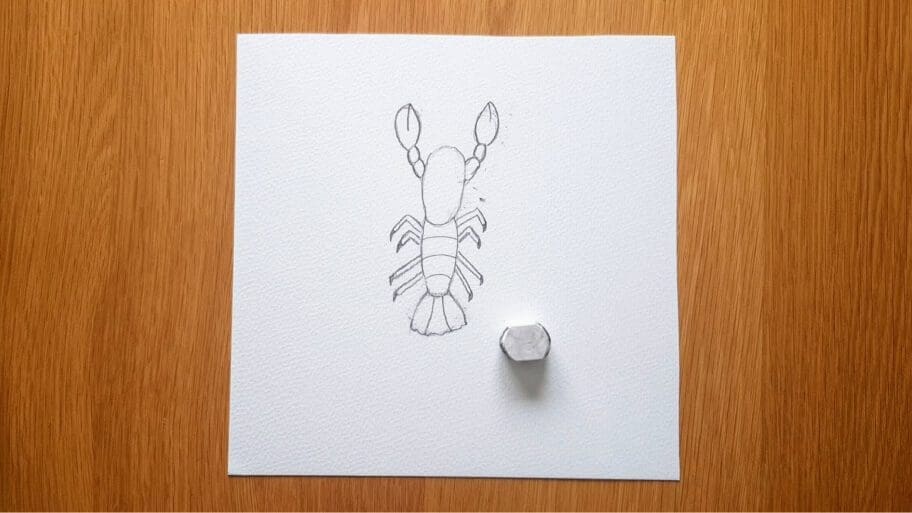 Lobster Drawing