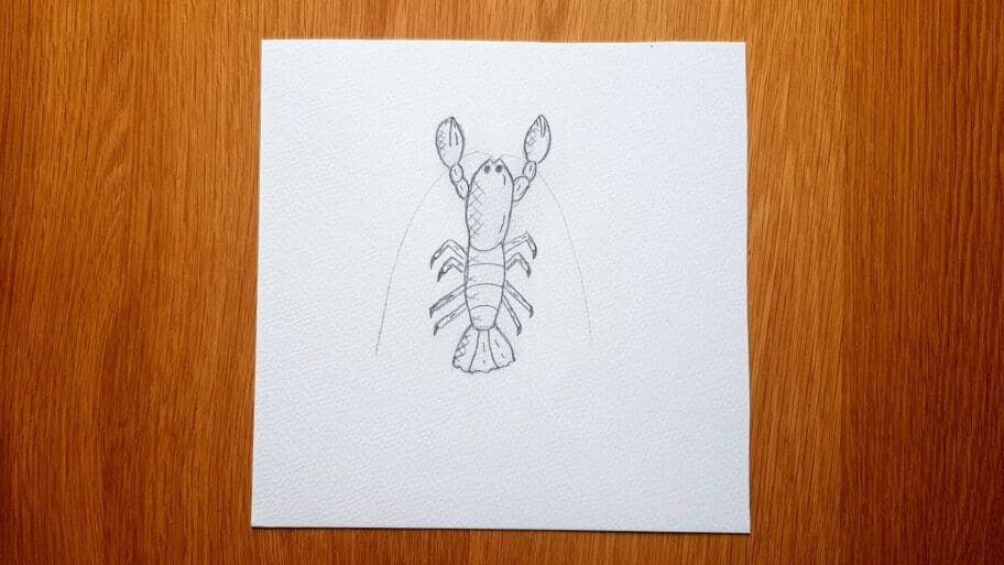 Lobster Drawing