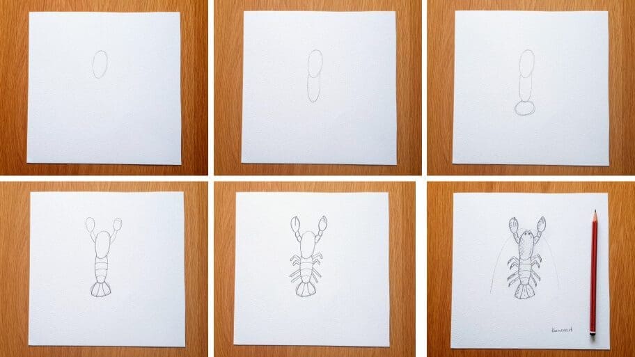 Lobster Drawing