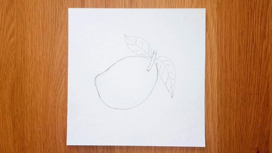 Mango Drawing