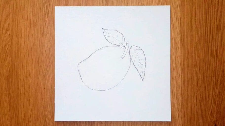 Mango Drawing