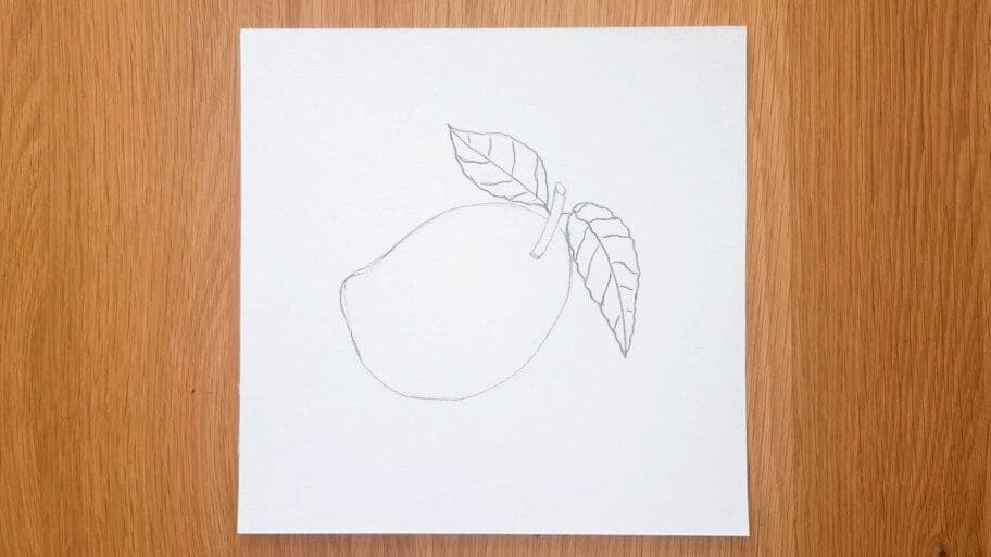 Mango Drawing