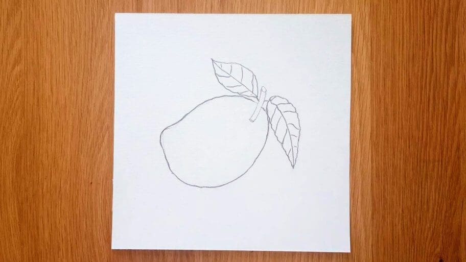 Mango Drawing