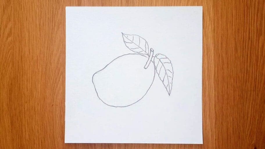 Mango Drawing