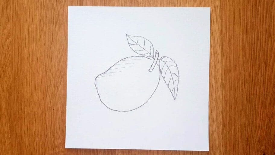 Mango Drawing
